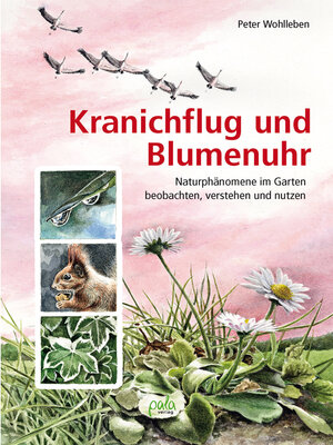 cover image of Kranichflug und Blumenuhr